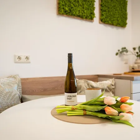 Quartier Maxim - App 8 塞巴特黑灵斯多夫